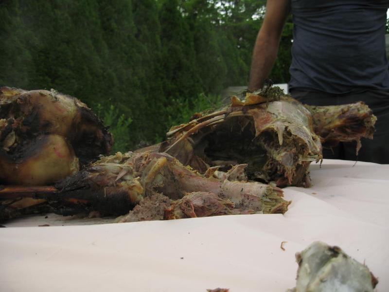 gallery/roast_090.jpg