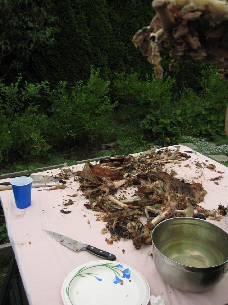 gallery/roast_102.jpg