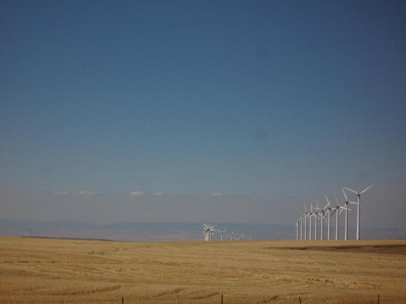 gallery/centralOregon_060.jpg