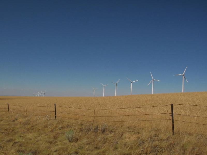 gallery/centralOregon_085.jpg