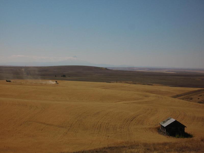 gallery/centralOregon_096.jpg