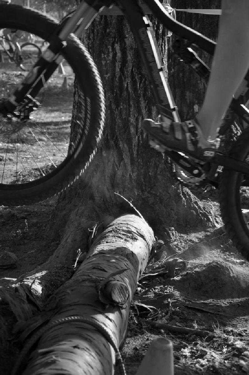 gallery/shortTrack_084bw.jpg