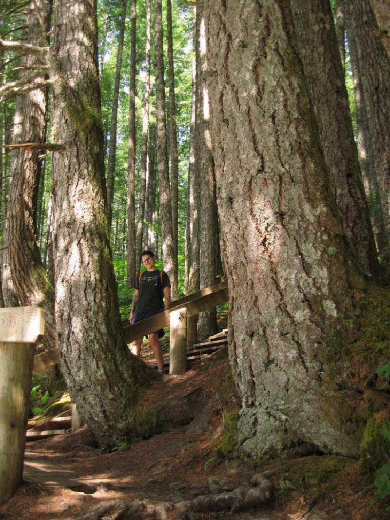gallery/lewisRiver_0001.jpg