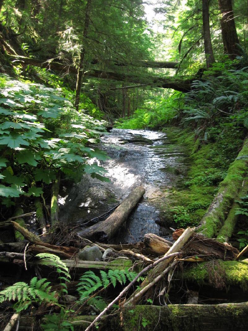gallery/lewisRiver_0020.jpg