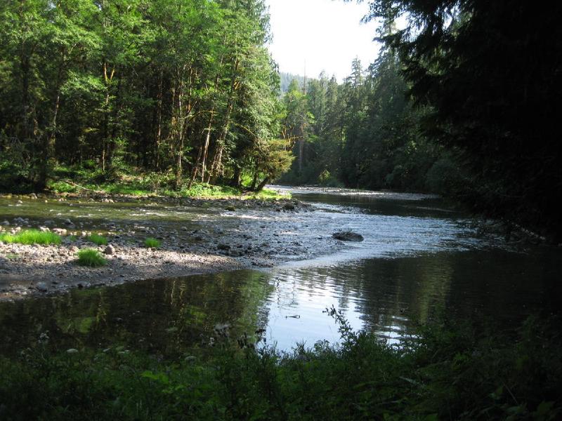 gallery/lewisRiver_0027.jpg