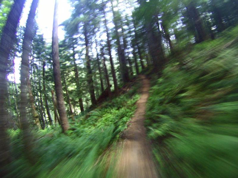 gallery/lewisRiver_0047.jpg