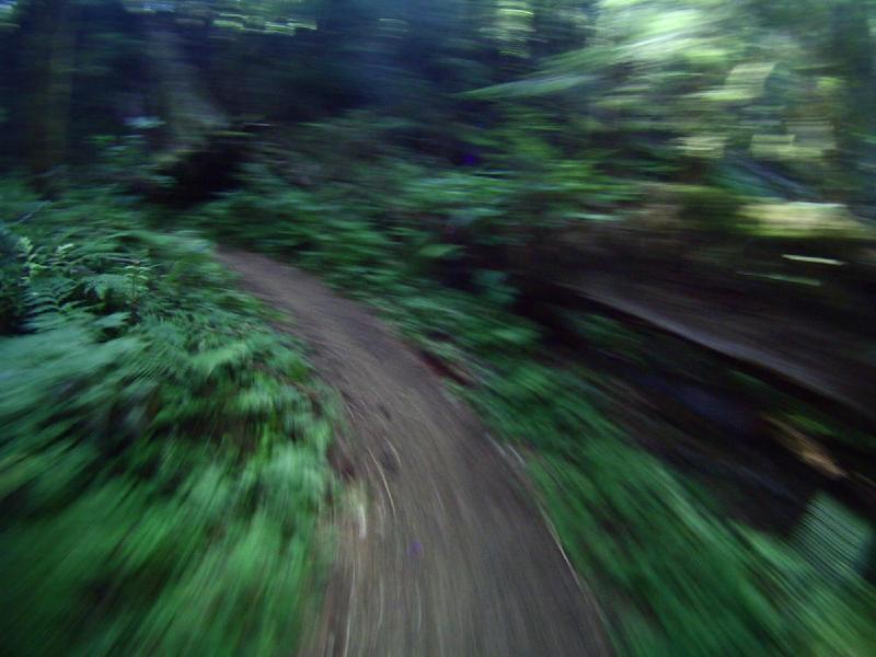 gallery/lewisRiver_0050.jpg