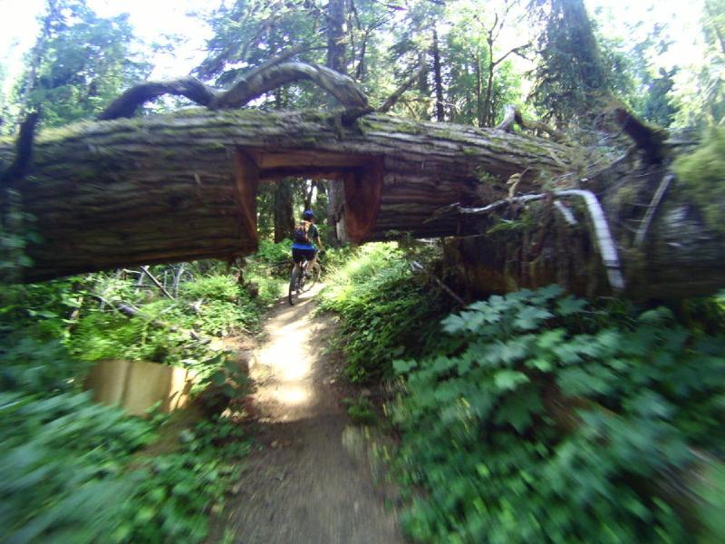 gallery/lewisRiver_0052.jpg