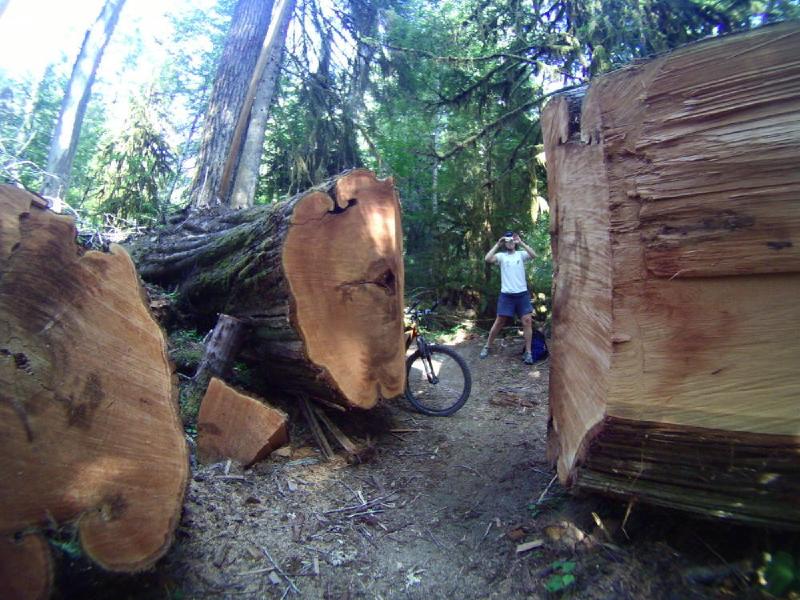gallery/lewisRiver_0054.jpg