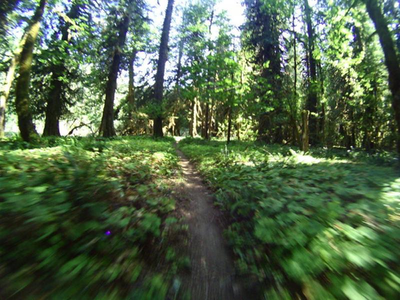 gallery/lewisRiver_0056.jpg