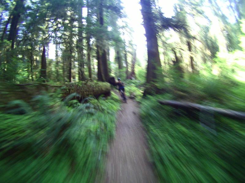 gallery/lewisRiver_0059.jpg