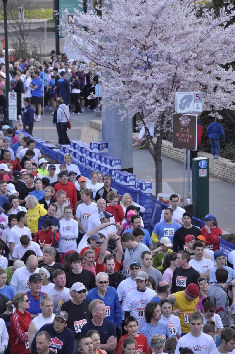 gallery/runForTheRoses_15.jpg