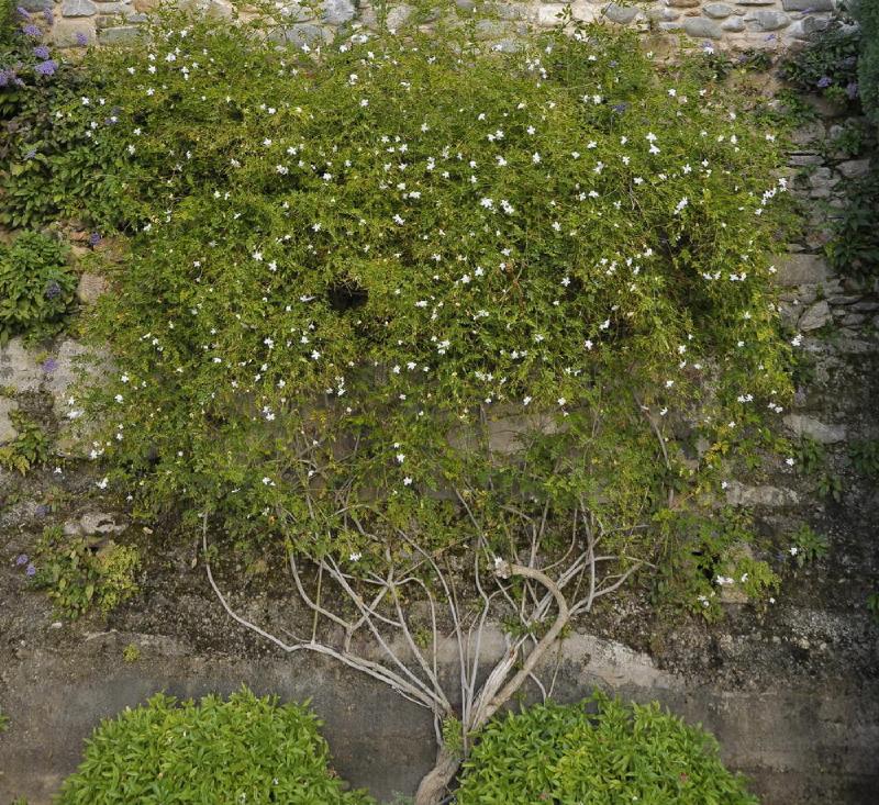 gallery/alhambra_185.jpg