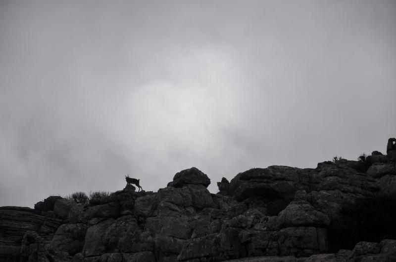 gallery/antequera_06.jpg