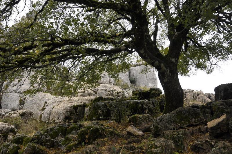 gallery/antequera_10.jpg