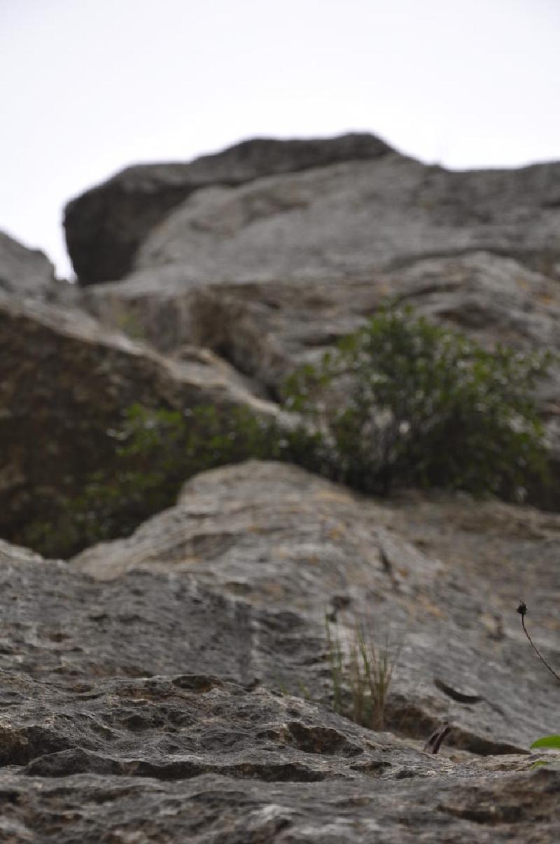 gallery/antequera_12.jpg