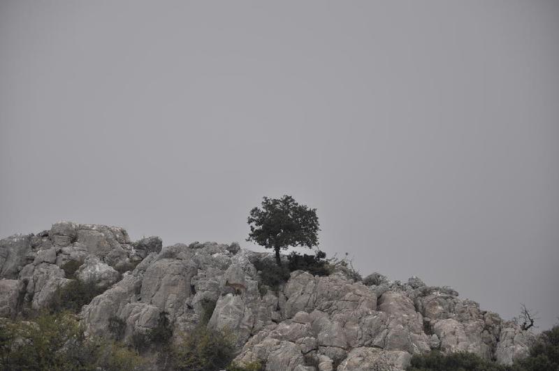 gallery/antequera_13.jpg