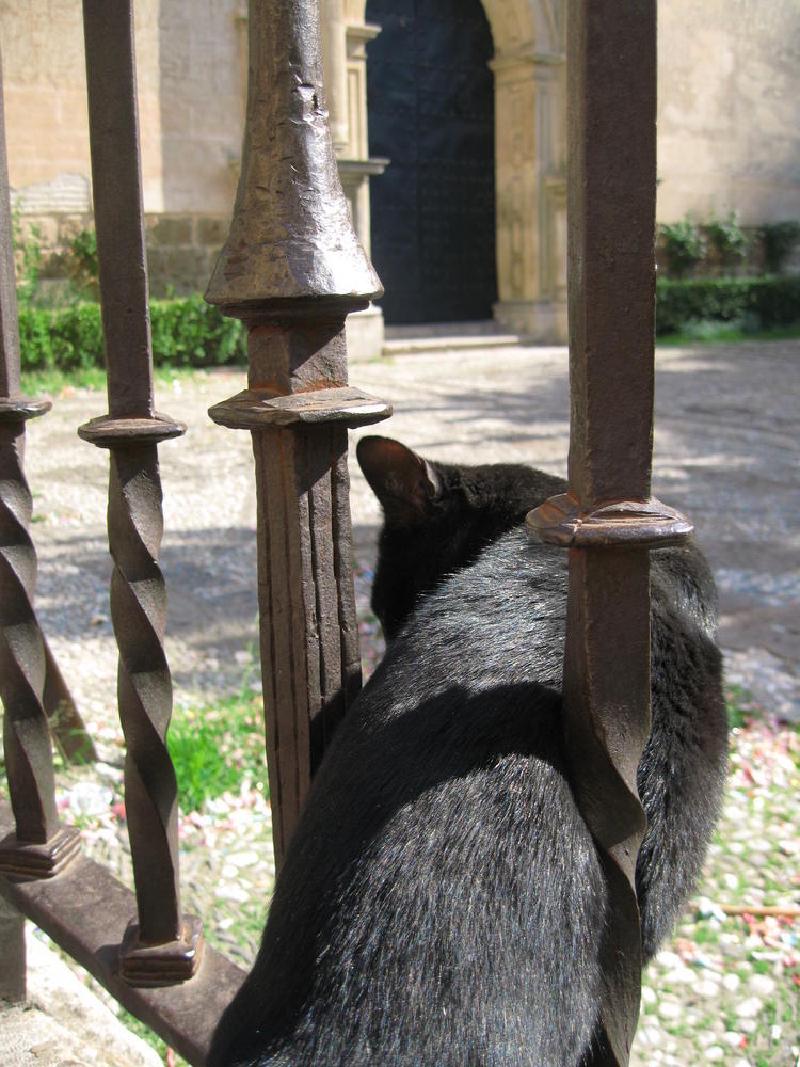 gallery/granada_012.jpg