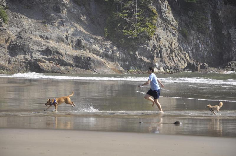 gallery/coastJuly_017.jpg