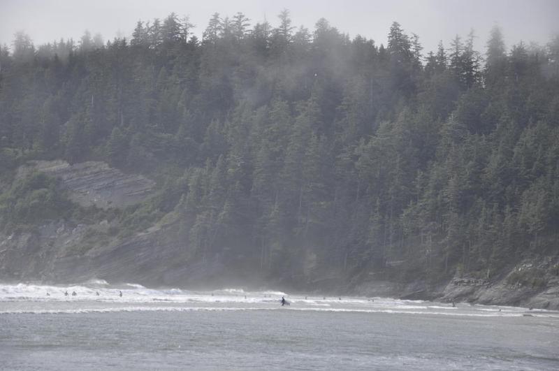 gallery/coastJuly_034.jpg