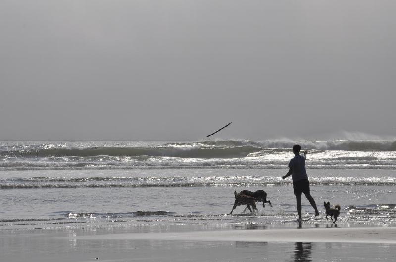 gallery/coastJuly_050.jpg