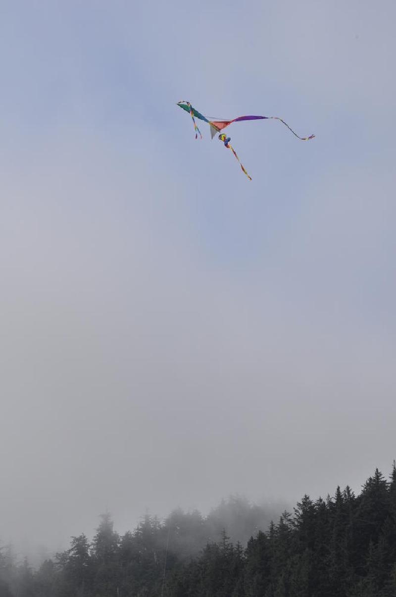 gallery/coastJuly_087.jpg
