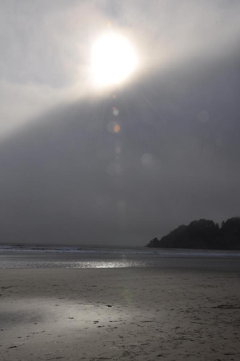 gallery/coastJuly_104.jpg