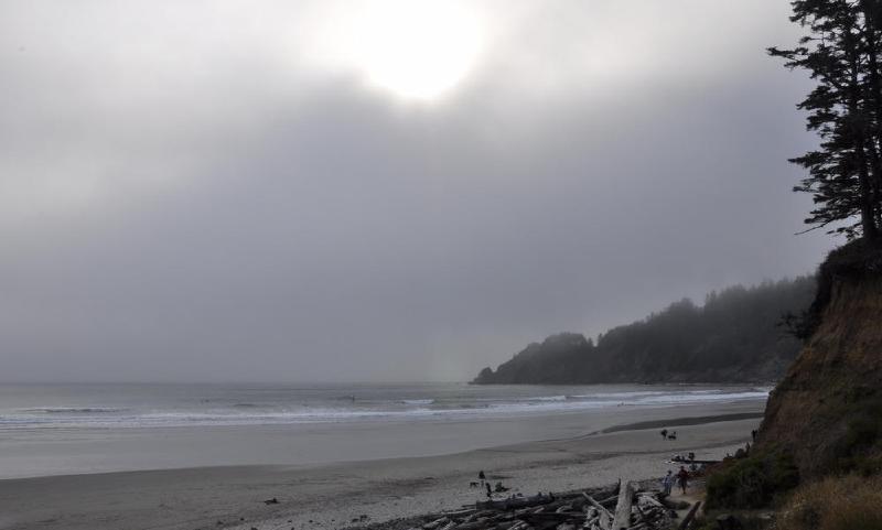 gallery/coastJuly_110.jpg