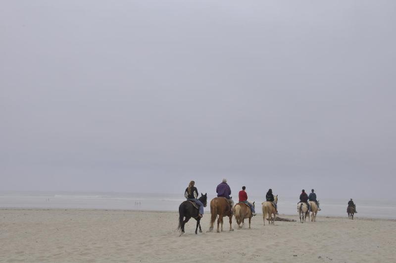 gallery/coastJuly_151.jpg