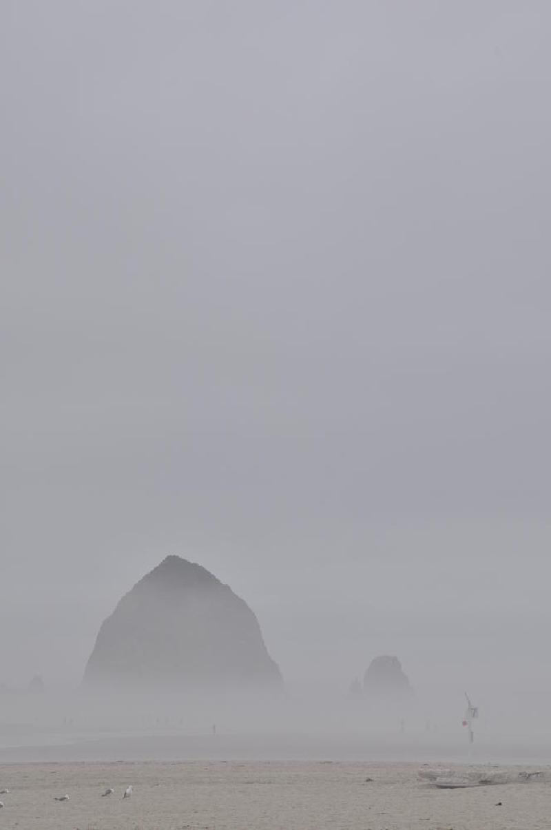gallery/coastJuly_153.jpg