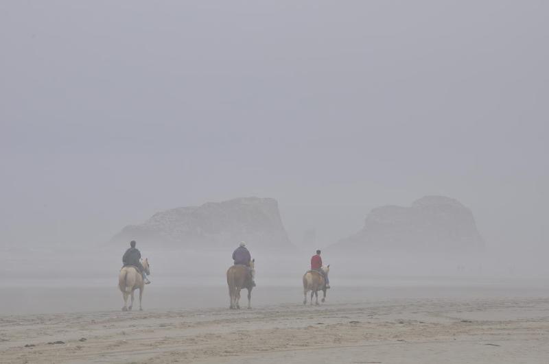gallery/coastJuly_155.jpg