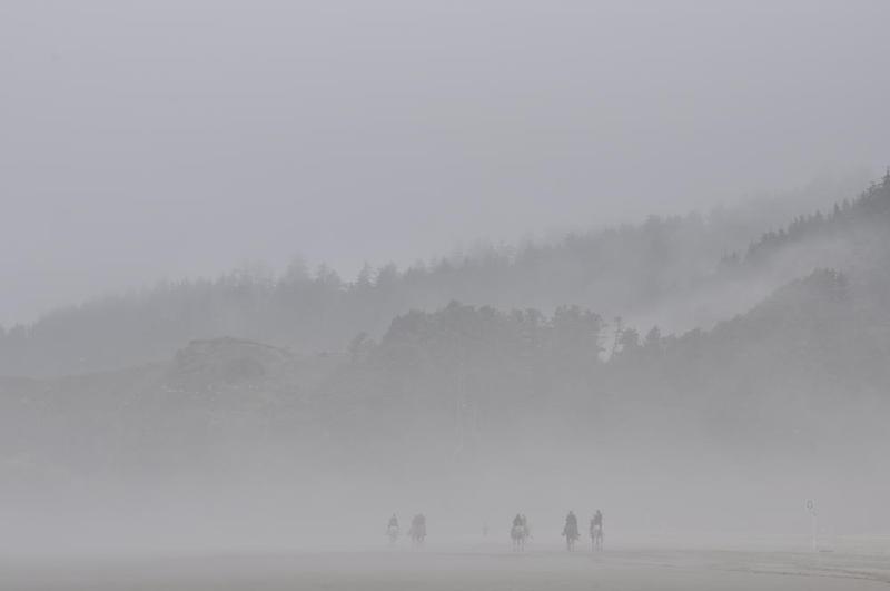 gallery/coastJuly_161.jpg