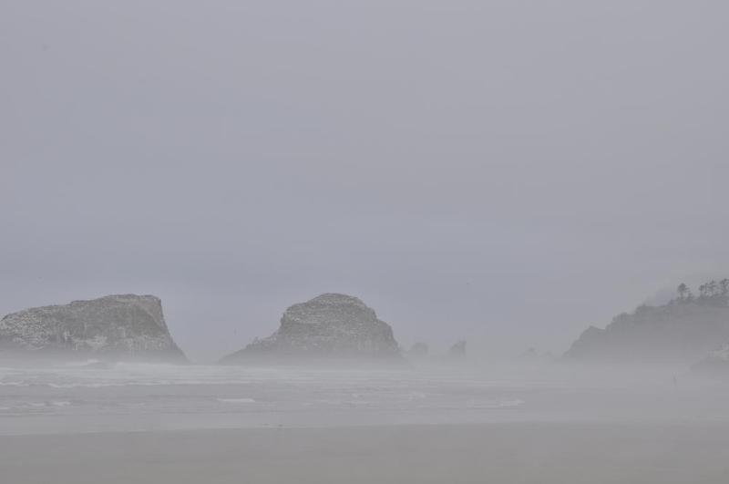 gallery/coastJuly_164.jpg