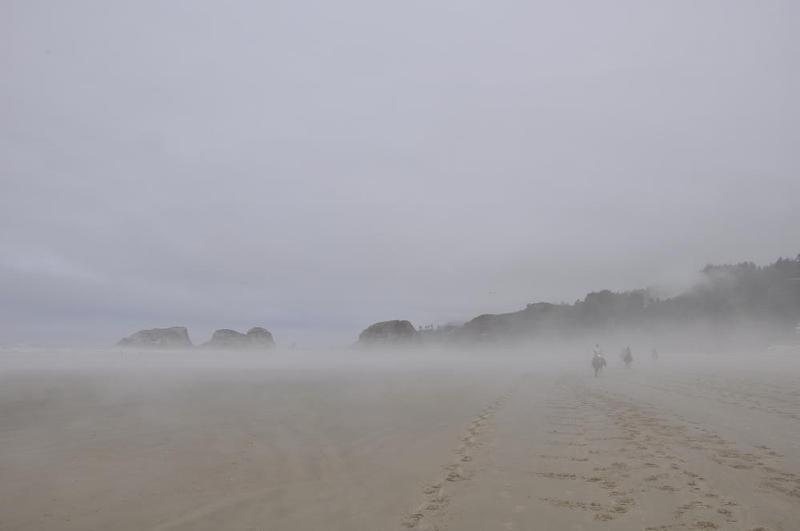 gallery/coastJuly_169.jpg