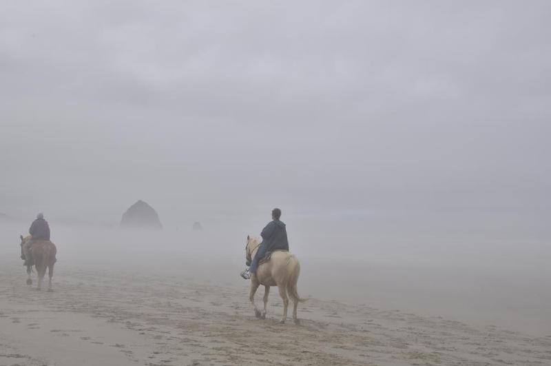 gallery/coastJuly_187.jpg