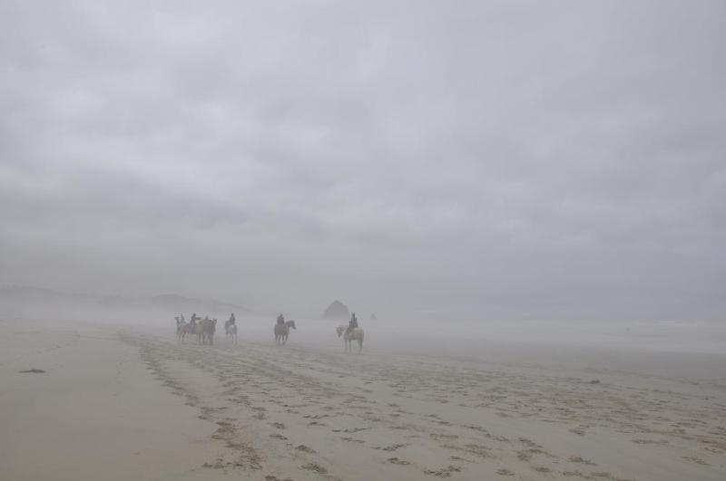 gallery/coastJuly_188.jpg