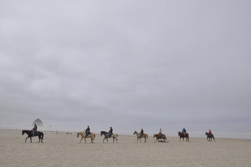 gallery/coastJuly_191.jpg