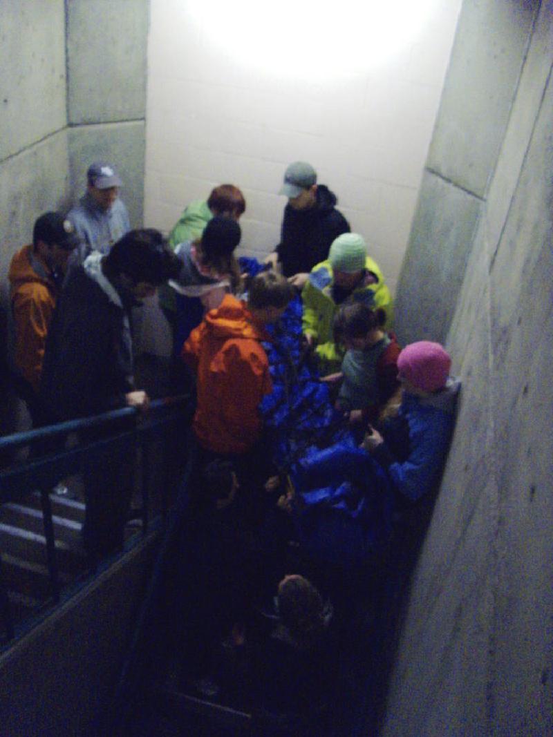 gallery/wfr_21.jpg
