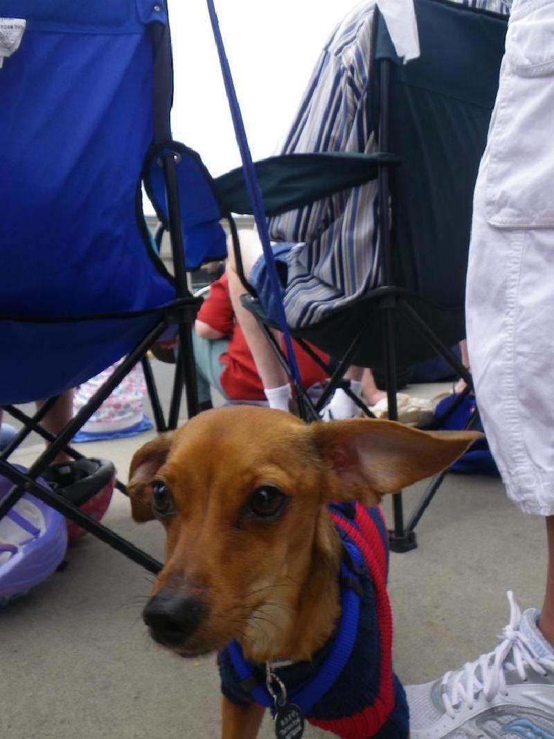 gallery/4thJuly_035.jpg