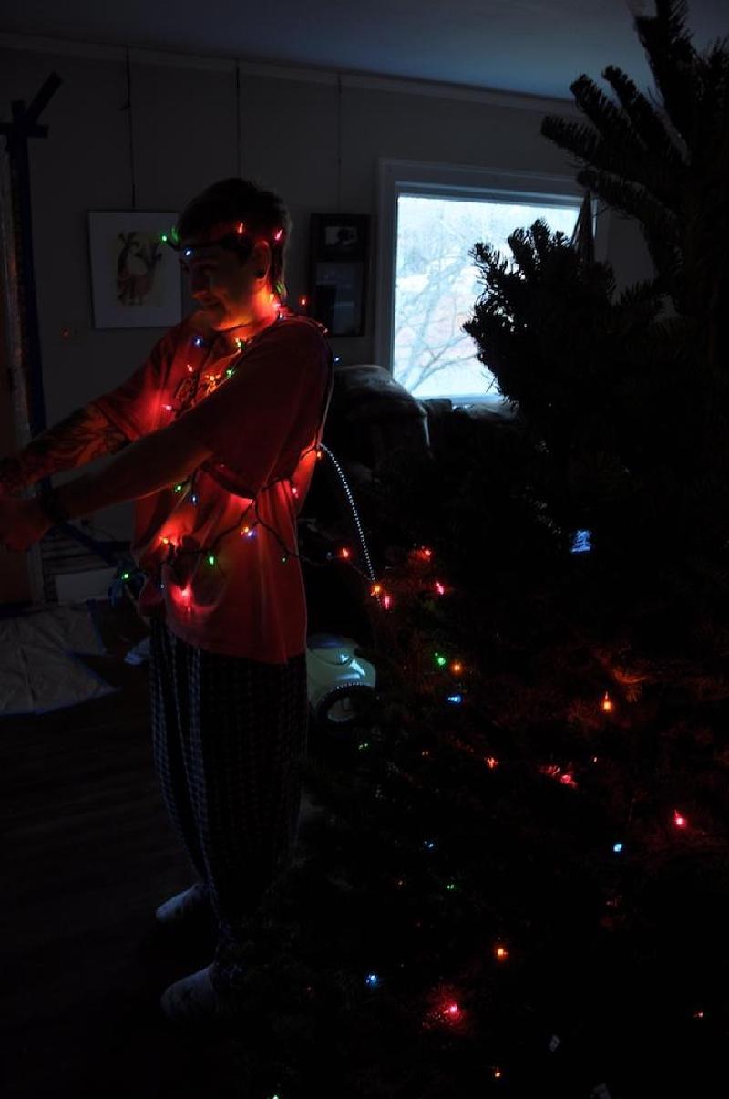 gallery/xmasTree_002.jpg