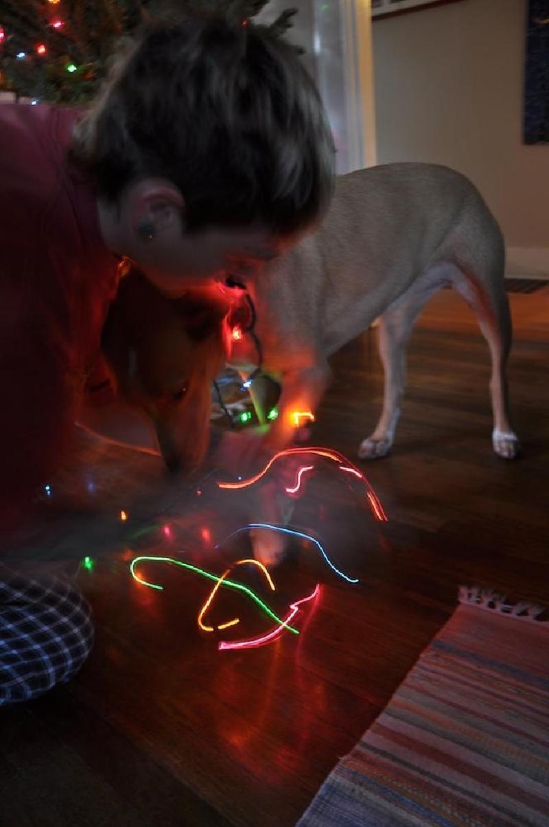gallery/xmasTree_005.jpg