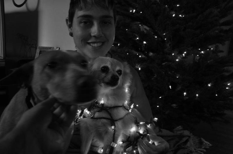 gallery/xmasTree_033.jpg