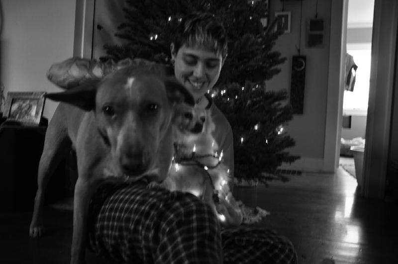 gallery/xmasTree_039.jpg
