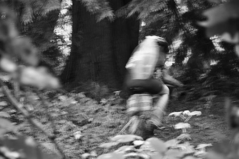 gallery/crossBarlow_012.jpg