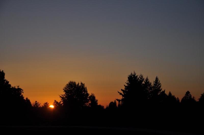 gallery/crossBlindDateII_057.jpg
