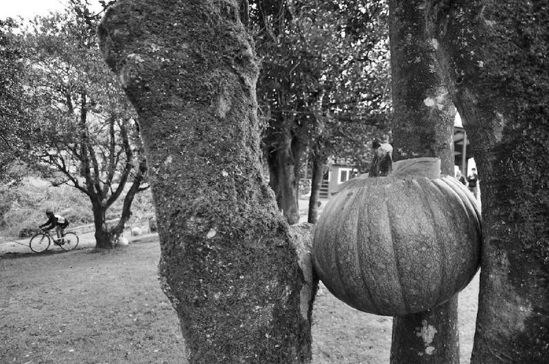 gallery/crossHalloween_206.jpg