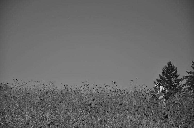 gallery/crossSherwood_055.jpg