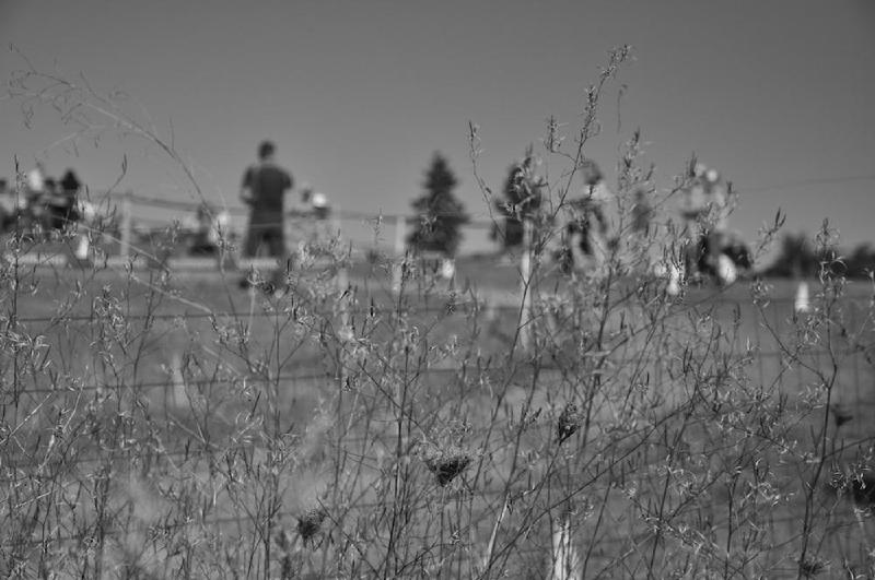 gallery/crossSherwood_086.jpg