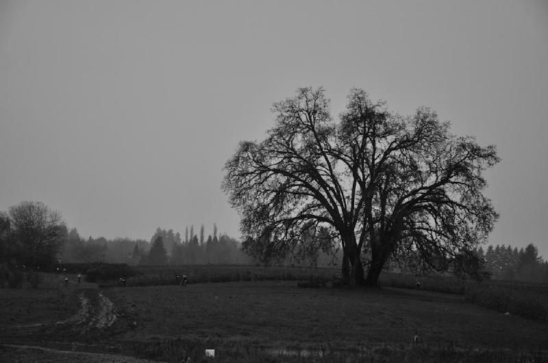 gallery/crossKrugers_018.jpg