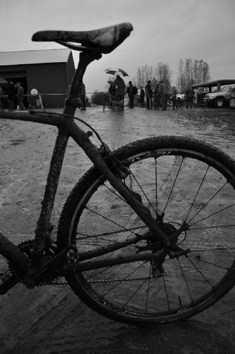 gallery/crossKrugers_126.jpg